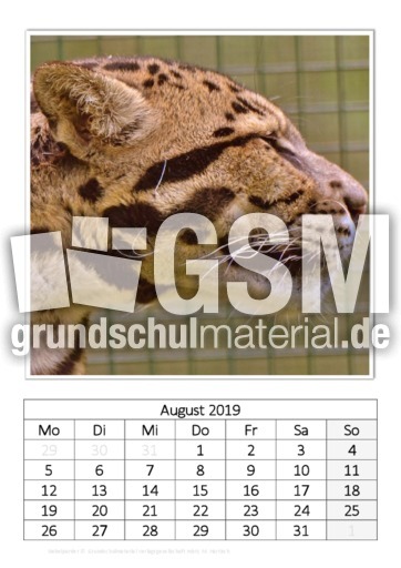 August_Nebelparder_2.pdf